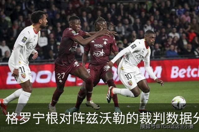 格罗宁根对阵兹沃勒的裁判数据分析
